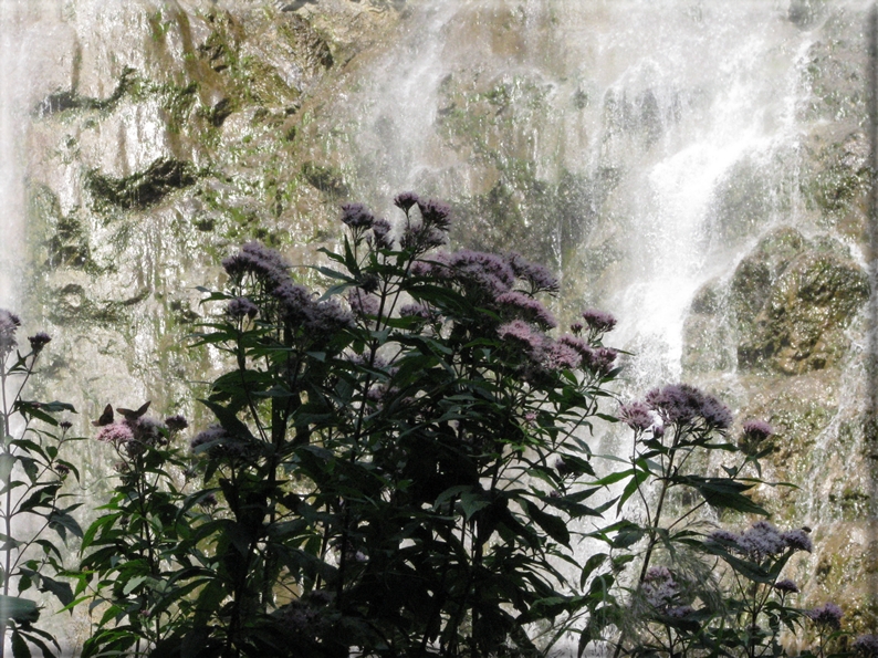 foto Cascate in Val Genova